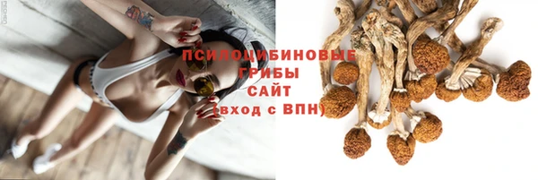 гашиш Горнозаводск