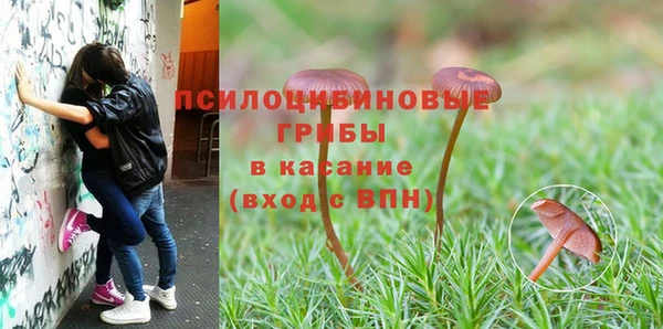 гашиш Горнозаводск