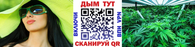 Купить закладки  Кизилюрт  Бошки марихуана гибрид 